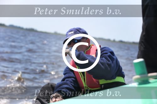Heeg, 8 Juni 2013 Skutjezeilen op het Heegermeer

Foto Peter Smulders BV
