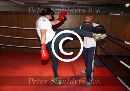 Amsterdam 6 juni 2013
Lodewijk Hoekstra aan het sporten met personal trainer Oswin Beingsick.
Peter Smulders bv