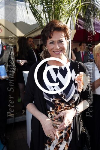 Amsterdam 1 juni 2013
Dam diner tbv het aidsfonds in de Heineken music Hall HMH. Tineke Verburg
Peter Smulders bv