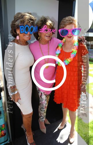 Amsterdam, 4 Juni 2015
Party van Talkies Magazine op het terras van het Hilton Hotel op de Apollolaan.
Christine Kroonenburg met vriendinnen