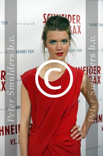 Amsterdam 25 mei 2015
Premiere Schneider vs Bax van Alex v Warmerdam in het eye theater.
