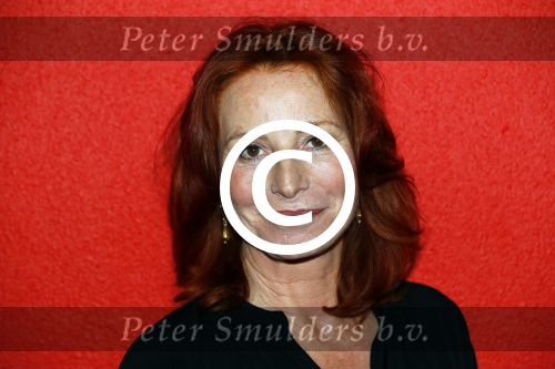Amsterdam 11 mei 2015     
Presentaie castleden van de nieuwe stukken van Dommelgraaf en Cornelisse productions in de Meervaart. Marian Mudder