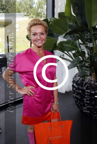 Amsterdam 8 juni 2015
Lunch georganiseerd door Betty de Groot in het Fletscher Hotel aan de A2. Mariska v Kolck