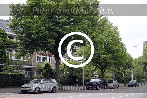 Amsterdam 13 en 14 juni 2015
Noi pakon  ( de nieuwe vriendin ) van Martijn Krabbe heeft van zaterdag 13 juni op zondag 14 juni bij hem geslapen. s Middags om half 3 ging ze weg bij hem en ging Martijn zijn hond uitlaten.