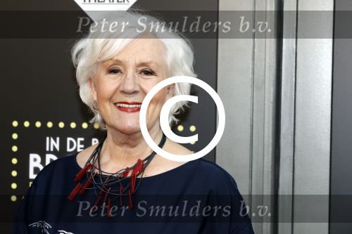 Amsterdam 4 juni 2016 
Premiere in de ban van broadway in het nieuwe de la mar. Anne Wil Blankers kwam met haar zoon