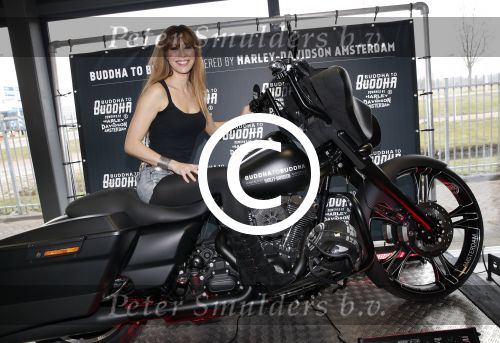 Amsterdam 22 maart 2013
Presentatie Buddha to Buddha en Harley davidson motor. Beertje v Beers
Peter Smulders bv