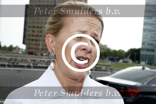 Amsterdam 4 juni 2016
Amsterdam Dam diner in de HMH tbv het aidsfonds.
Prinses Mabel