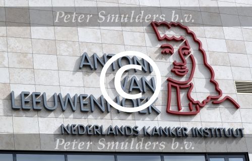 Amsterdam 17 mei 2017
Evelien de Bruijn en Bibian Mentel lopen mee in de marathon voor het Nederlands Kankerfonds (KWF). Vertrek wan bij het Antoni v Leeuwenhoek