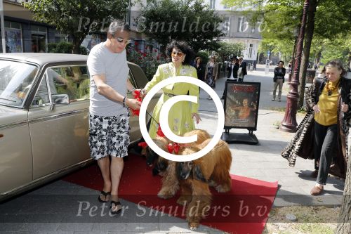 Amsterdam 3 juni 2017 
Opening expositie Fong Leng bij galerie Eric Morren in Amsterdam