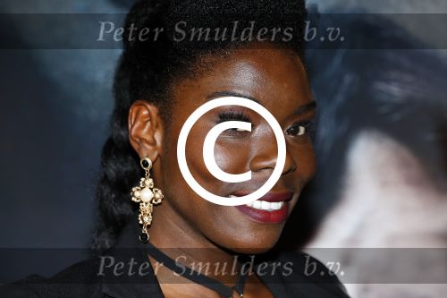 Amsterdam 7 juni 2017
Premiere the Mummy in Pathe Arena. Imanuelle Grives met een kennis