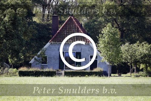 Eefde 26 mei 2017
Boerderij / huis van Matthijs v Nieuwkerk. Een konijn wordt door een hond achterna gezeten.