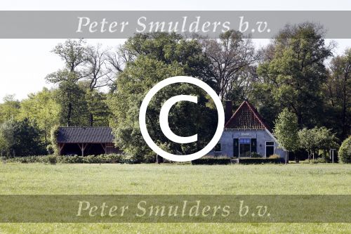 Eefde 26 mei 2017
Boerderij / huis van Matthijs v Nieuwkerk. Een konijn wordt door een hond achterna gezeten.