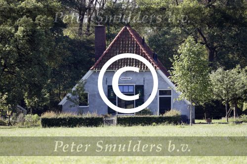 Eefde 26 mei 2017
Boerderij / huis van Matthijs v Nieuwkerk. Een konijn wordt door een hond achterna gezeten.