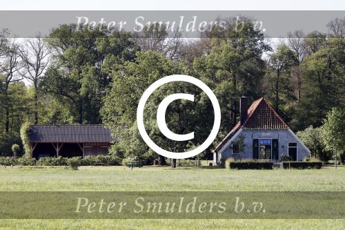 Eefde 26 mei 2017
Boerderij / huis van Matthijs v Nieuwkerk. Een konijn wordt door een hond achterna gezeten.