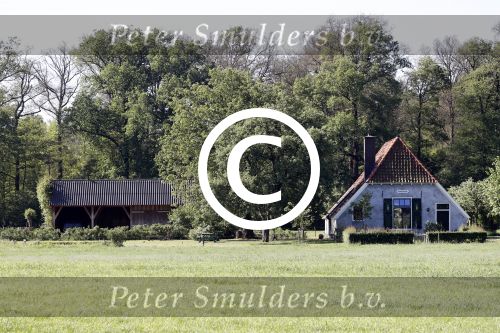 Eefde 26 mei 2017
Boerderij / huis van Matthijs v Nieuwkerk. Een konijn wordt door een hond achterna gezeten.