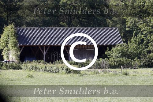 Eefde 26 mei 2017
Boerderij / huis van Matthijs v Nieuwkerk. Een konijn wordt door een hond achterna gezeten.