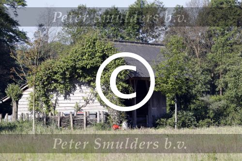Eefde 26 mei 2017
Boerderij / huis van Matthijs v Nieuwkerk. Een konijn wordt door een hond achterna gezeten.