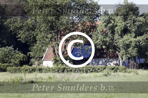 Eefde 26 mei 2017
Boerderij / huis van Matthijs v Nieuwkerk. Een konijn wordt door een hond achterna gezeten.