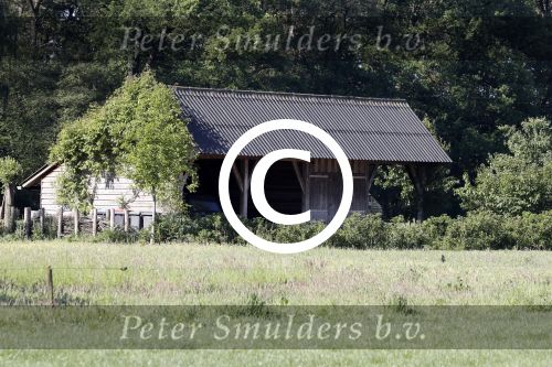 Eefde 26 mei 2017
Boerderij / huis van Matthijs v Nieuwkerk. Een konijn wordt door een hond achterna gezeten.