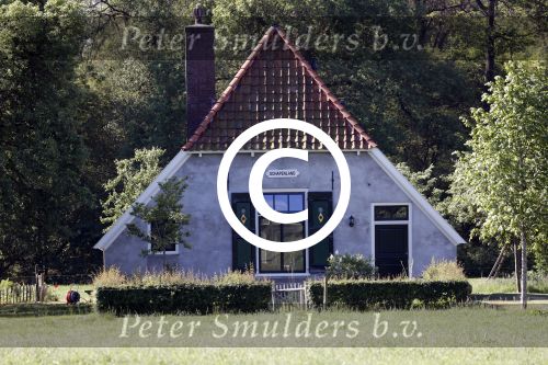 Eefde 26 mei 2017
Boerderij / huis van Matthijs v Nieuwkerk. Een konijn wordt door een hond achterna gezeten.