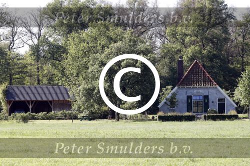 Eefde 26 mei 2017
Boerderij / huis van Matthijs v Nieuwkerk. Een konijn wordt door een hond achterna gezeten.