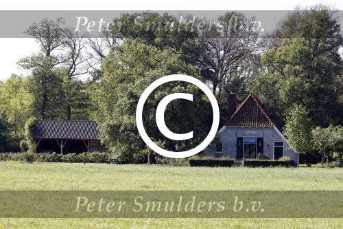 Eefde 26 mei 2017
Boerderij / huis van Matthijs v Nieuwkerk. Een konijn wordt door een hond achterna gezeten.