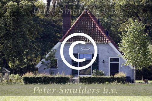 Eefde 26 mei 2017
Boerderij / huis van Matthijs v Nieuwkerk. Een konijn wordt door een hond achterna gezeten.