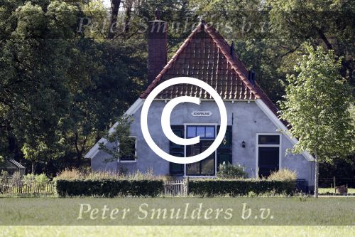 Eefde 26 mei 2017
Boerderij / huis van Matthijs v Nieuwkerk. Een konijn wordt door een hond achterna gezeten.