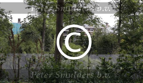 Den Haag 5 juni 2017
Paleis Huis ten Bosch wordt helemaal verbouwd. Het staat helemaal in de steigers.