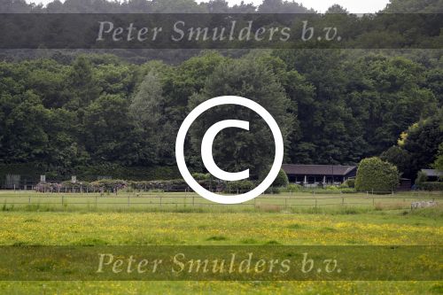 Schoorl 30 mei 2017
Naar dit huis zijn Patricia Paay en haar man Robert wezen kijken.
