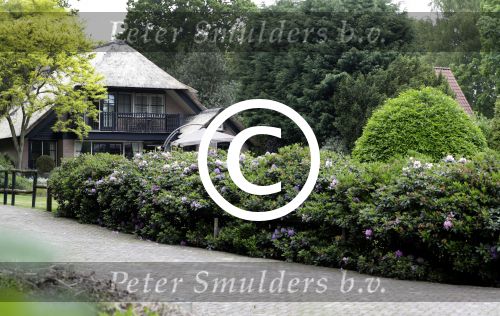 Schoorl 30 mei 2017
Naar dit huis zijn Patricia Paay en haar man Robert wezen kijken.