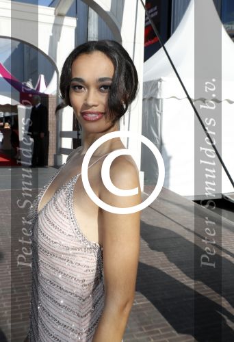 Amsterdam 17 juni 2017  
Amsterdam diner in het AFAS music hall in Amsterdam. Romy Monteiro