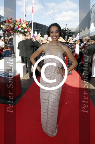 Amsterdam 17 juni 2017  
Amsterdam diner in het AFAS music hall in Amsterdam. Romy Monteiro