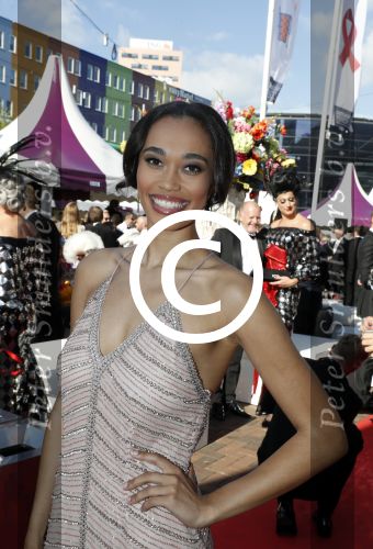 Amsterdam 17 juni 2017  
Amsterdam diner in het AFAS music hall in Amsterdam. Romy Monteiro