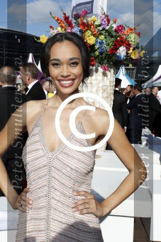 Amsterdam 17 juni 2017  
Amsterdam diner in het AFAS music hall in Amsterdam. Romy Monteiro