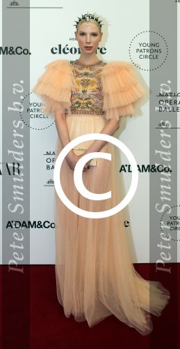 Amsterdam, 10 Juni 2017
Patrons Gala Nationale Opera & Ballet
Valentijn de Hingh