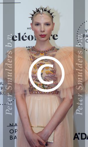 Amsterdam, 10 Juni 2017
Patrons Gala Nationale Opera & Ballet
Valentijn de Hingh