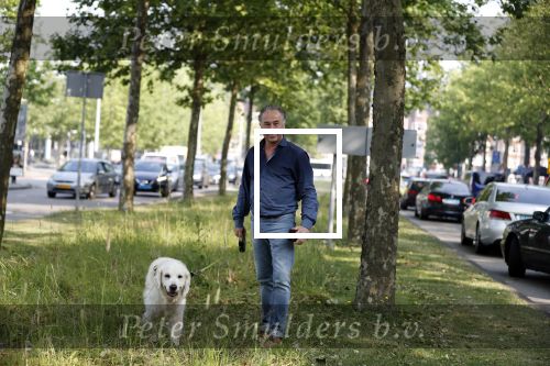 Amsterdam 29 mei 2018
Bart Bosch laat hond uit.
