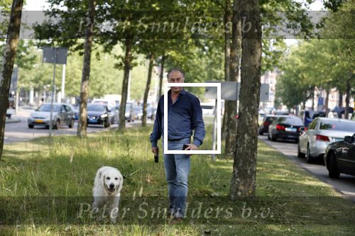 Amsterdam 29 mei 2018
Bart Bosch laat hond uit.