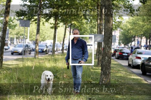 Amsterdam 29 mei 2018
Bart Bosch laat hond uit.