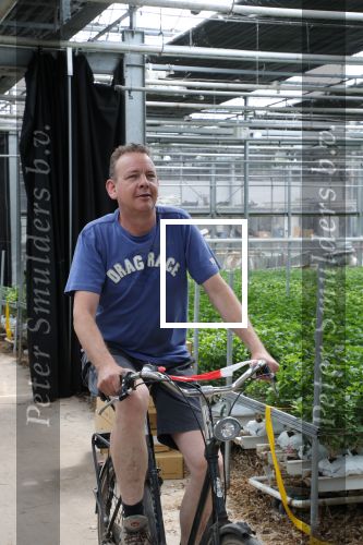 Rijsenhout, 16 Mei 2018
Boer Jaap Vreeken Boer zoekt vrouw