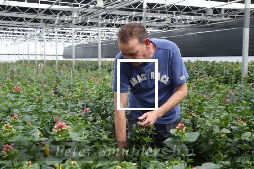 Rijsenhout, 16 Mei 2018
Boer Jaap Vreeken Boer zoekt vrouw