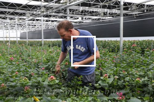 Rijsenhout, 16 Mei 2018
Boer Jaap Vreeken Boer zoekt vrouw