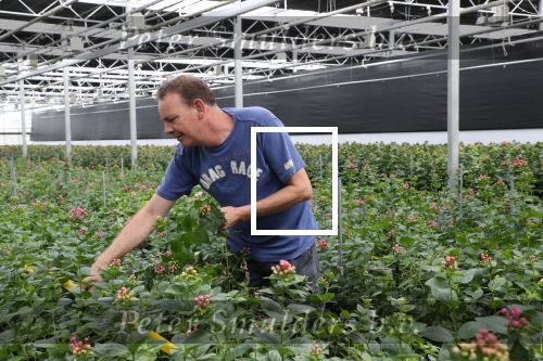 Rijsenhout, 16 Mei 2018
Boer Jaap Vreeken Boer zoekt vrouw