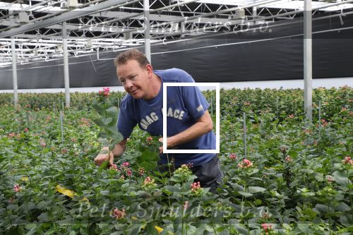 Rijsenhout, 16 Mei 2018
Boer Jaap Vreeken Boer zoekt vrouw