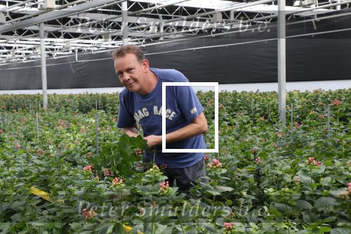 Rijsenhout, 16 Mei 2018
Boer Jaap Vreeken Boer zoekt vrouw