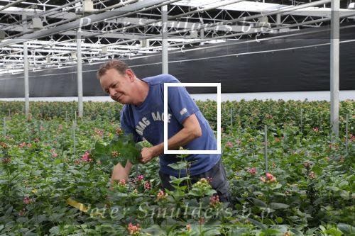 Rijsenhout, 16 Mei 2018
Boer Jaap Vreeken Boer zoekt vrouw