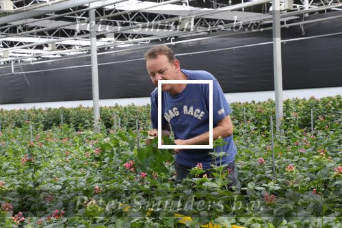 Rijsenhout, 16 Mei 2018
Boer Jaap Vreeken Boer zoekt vrouw
