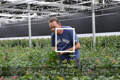 Rijsenhout, 16 Mei 2018
Boer Jaap Vreeken Boer zoekt vrouw