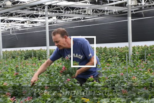 Rijsenhout, 16 Mei 2018
Boer Jaap Vreeken Boer zoekt vrouw